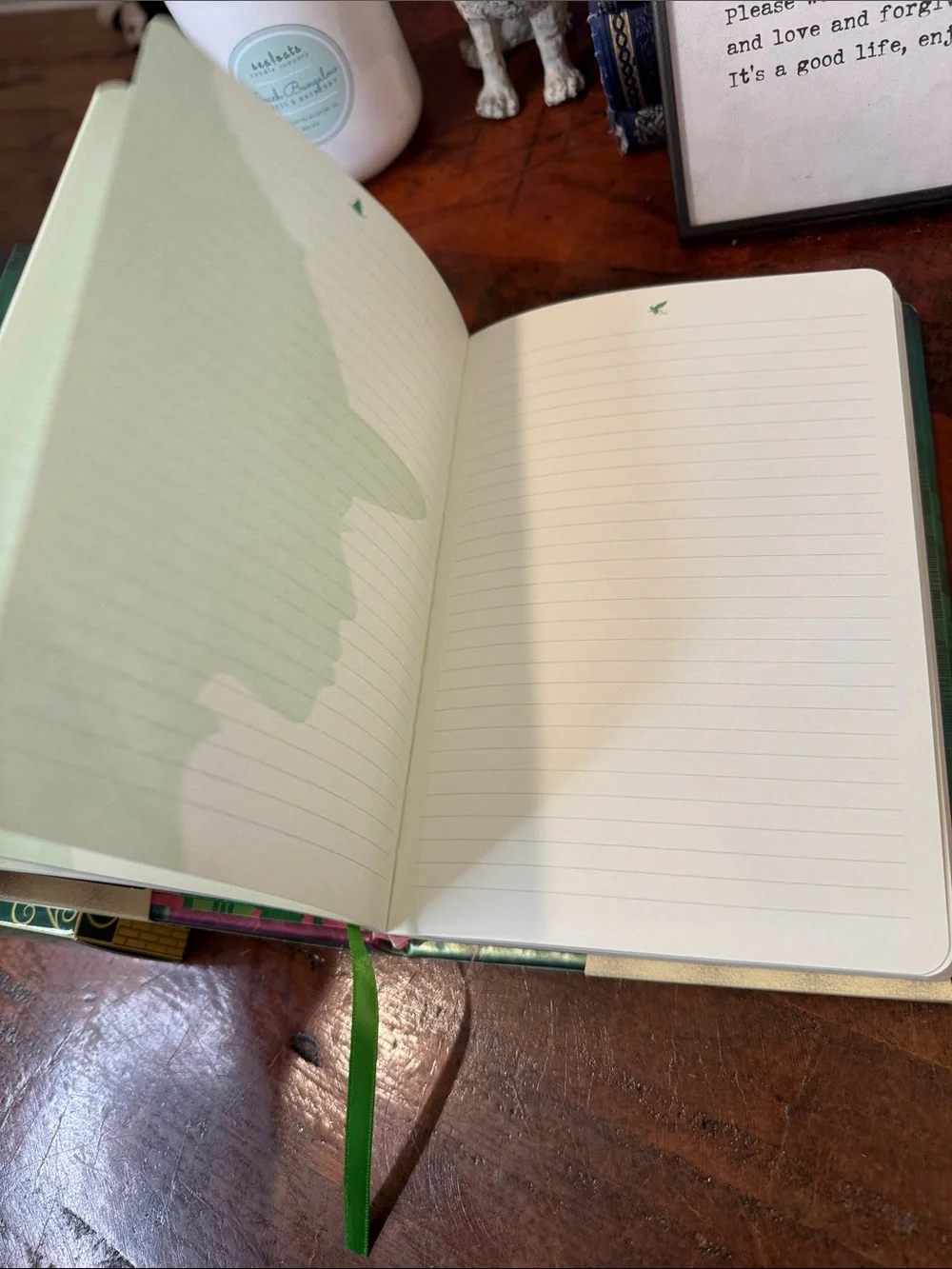 Elphaba/Glinda Reversible Journal - Green and Pink